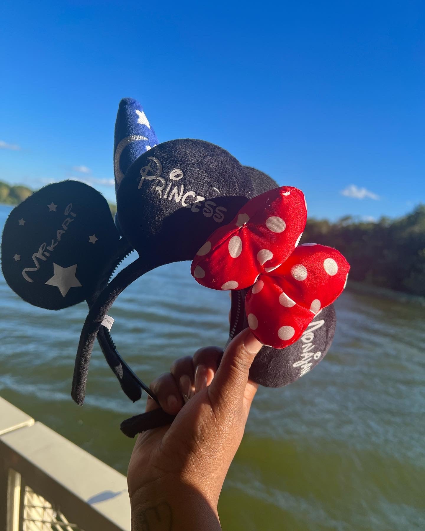 Custom Disney Ears